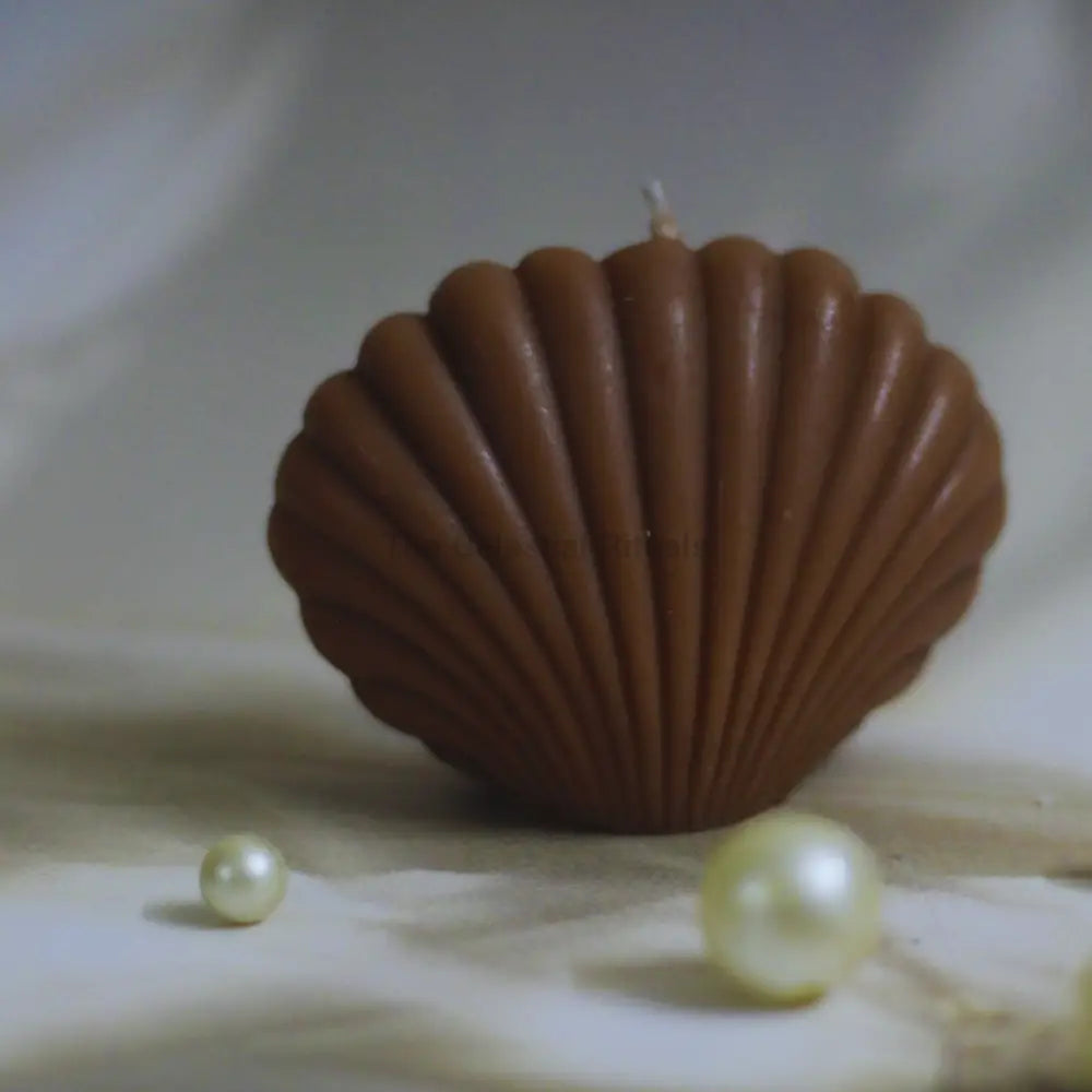 Celestial Rituals Soy Wax Shell Candle | Calming Essence of the Ocean mocha mousse Candles
