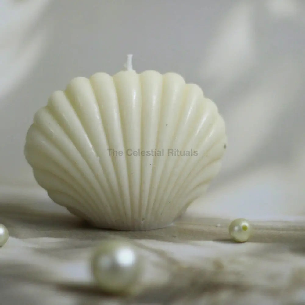 Celestial Rituals Soy Wax Shell Candle | Calming Essence of the Ocean white Candles