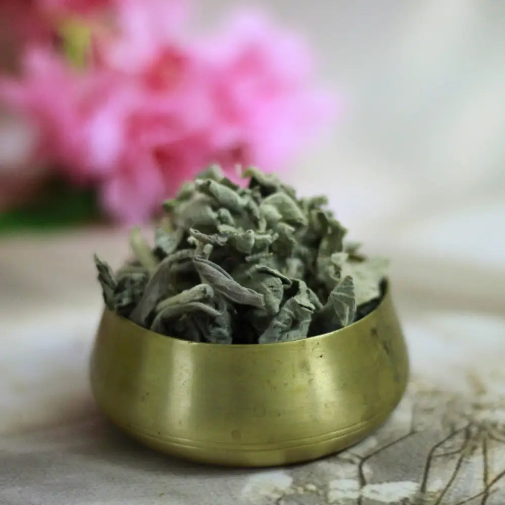 Organic Sage Crush – Premium Dried Sage for Culinary Wellness & Aromatherapy herbs