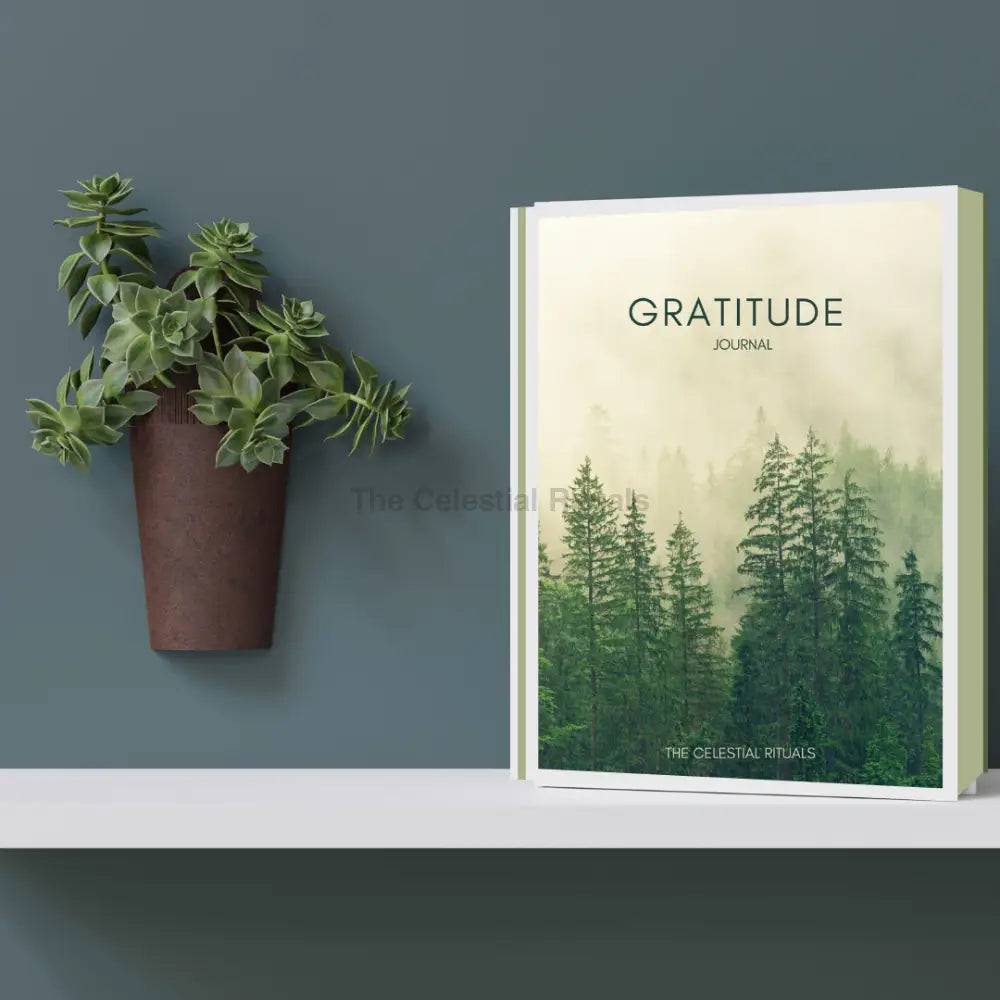 Gratitude Journal – Daily Reflection & Mindfulness for Positivity Journals