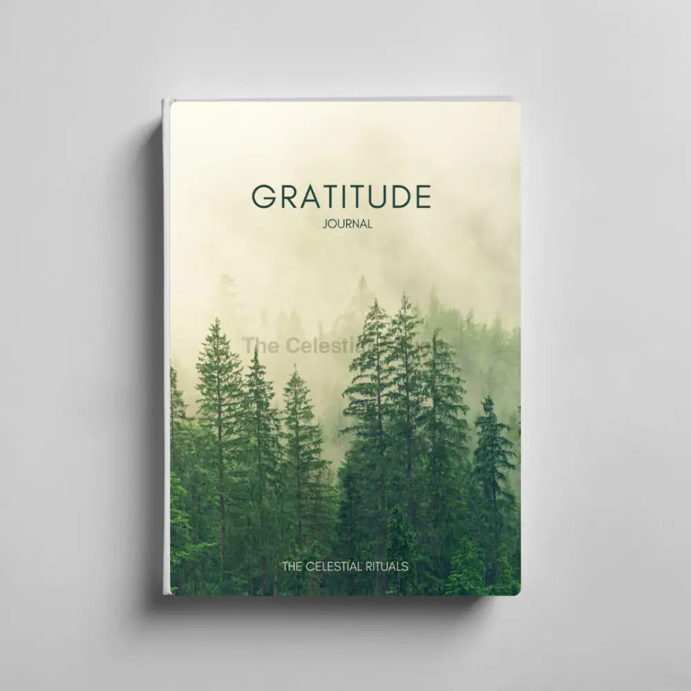 Gratitude Journal – Daily Reflection & Mindfulness for Positivity Journals