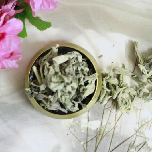 Organic Sage Crush – Premium Dried Sage for Culinary Wellness & Aromatherapy herbs