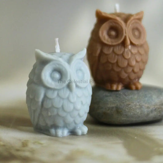 Owl Wisdom Candles (set of 2) – Aromatherapy for Meditation & Spiritual Clarity Candles