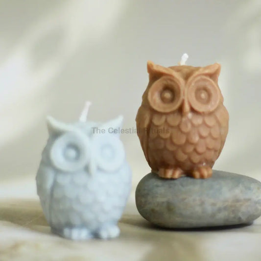 Owl Wisdom Candles (set of 2) – Aromatherapy for Meditation & Spiritual Clarity Candles