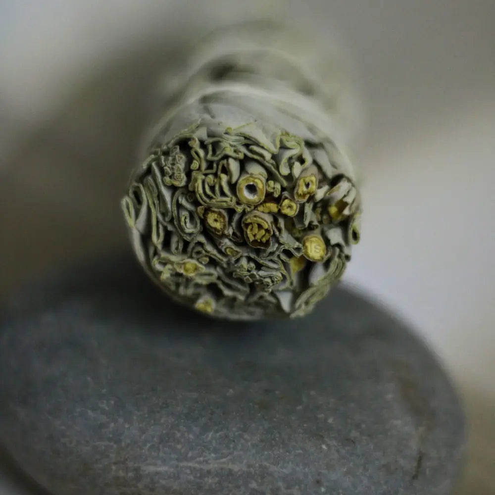 Premium California White Sage Smudge Sticks | Pure and Potent Energy Cleansing Cleansing Sage sticks