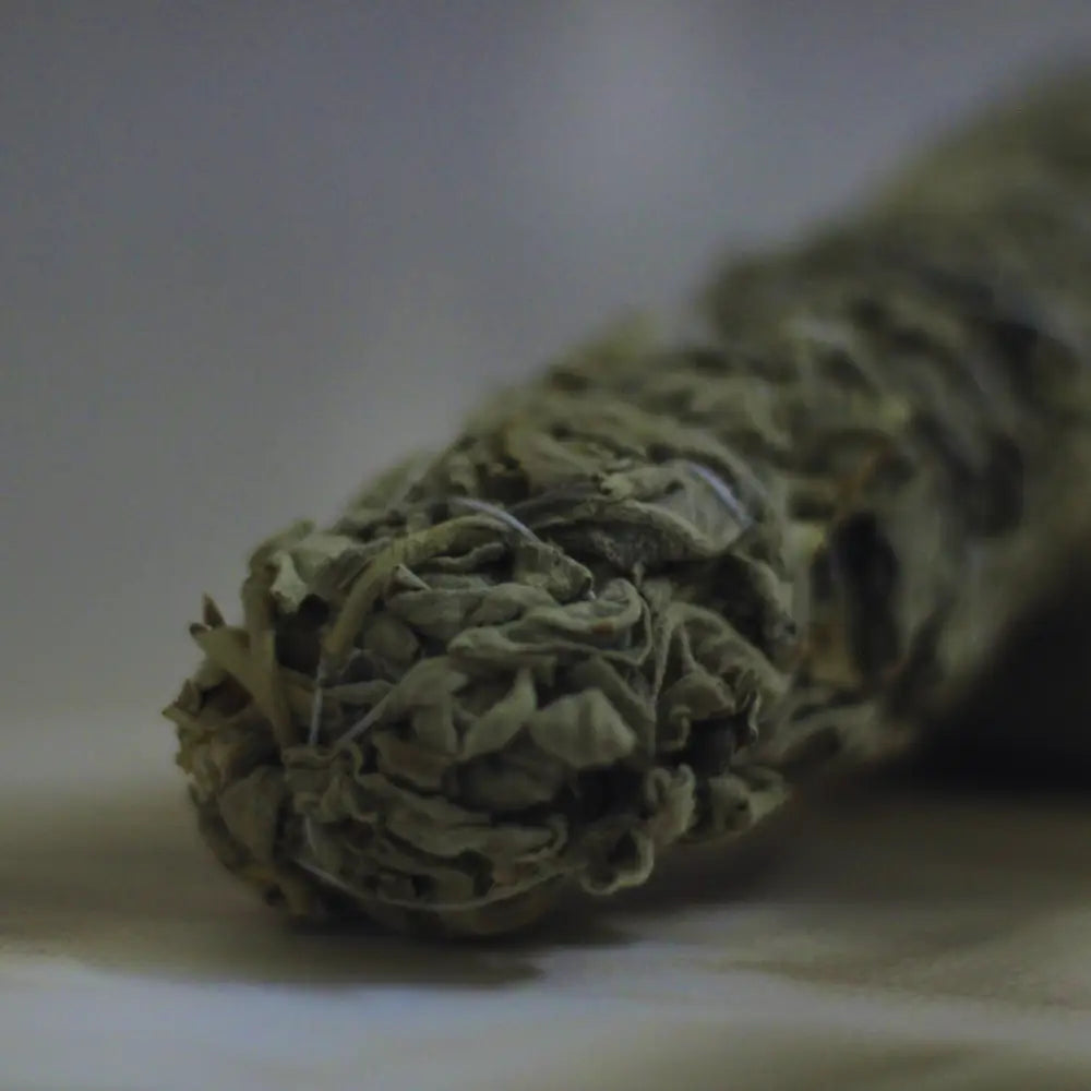 Premium Indian Sage Smudge Sticks | Pure and Potent Energy Cleansing Smudge Sticks