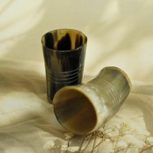 Viking Authentic Horn tumbler - Set of 2 Chalice
