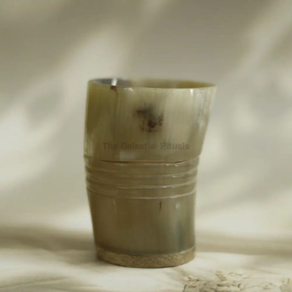 Viking Authentic Horn tumbler - Set of 2 Chalice
