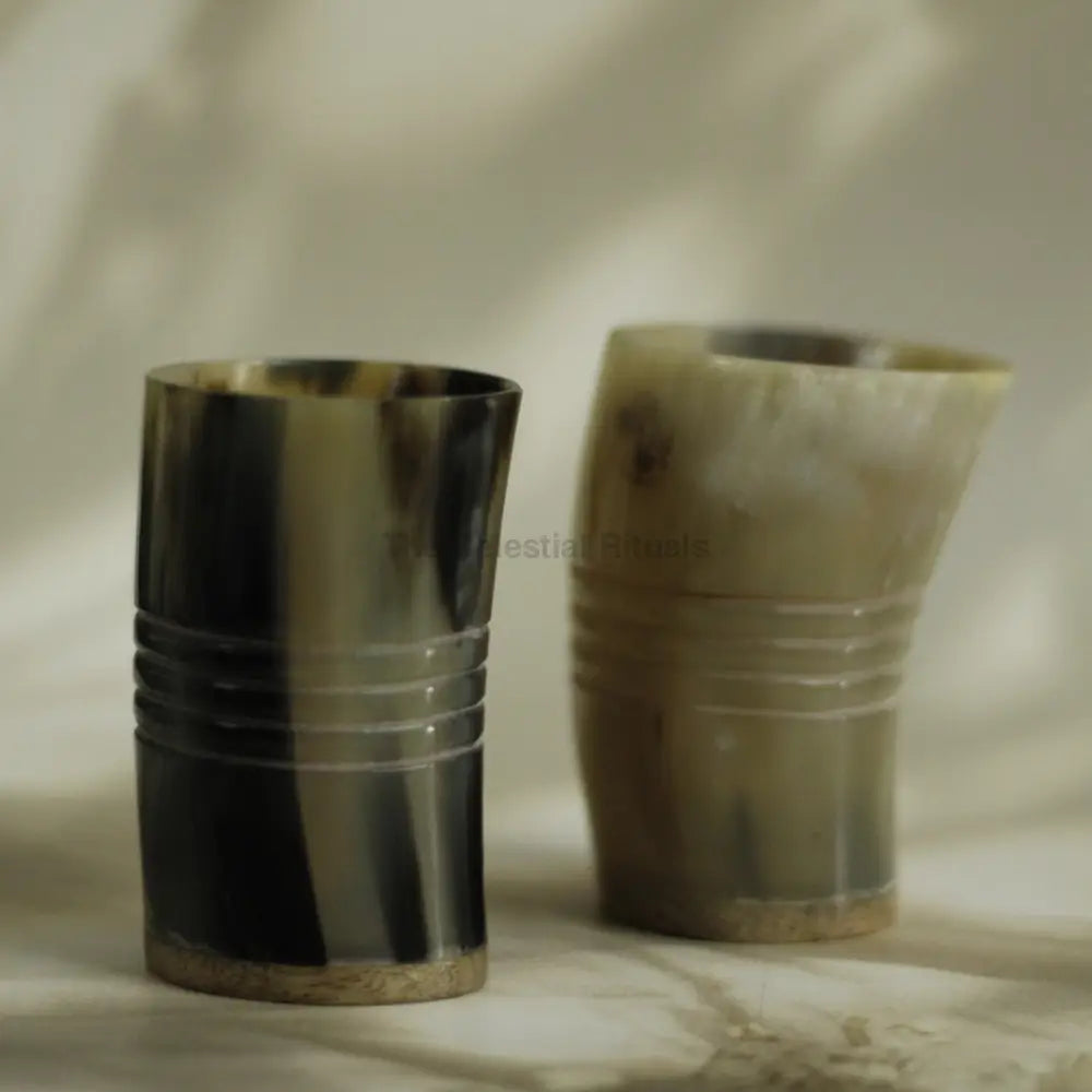 Viking Authentic Horn tumbler - Set of 2 Chalice